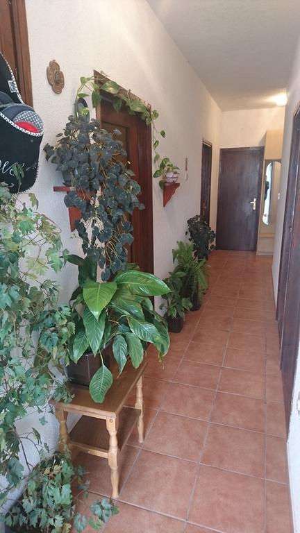 Apartment Leona Senj  Exterior photo